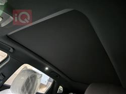 بي واي دي سونغ بلس